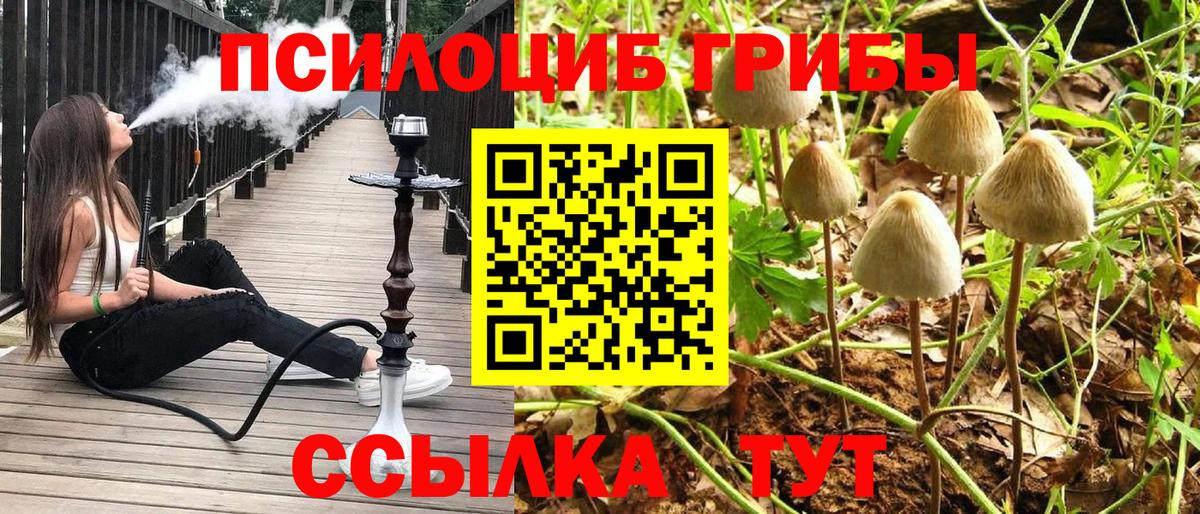 Галлюциногенные грибы MAGIC MUSHROOMS  Вход с VPN  Тельмана 